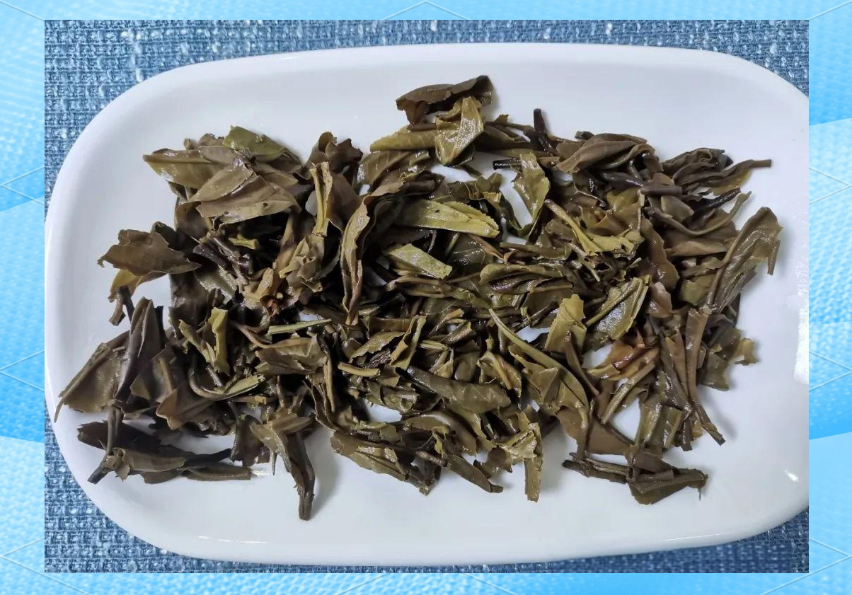 陈升号银班章品鉴装试饮体验,感受高端生普的独特口感