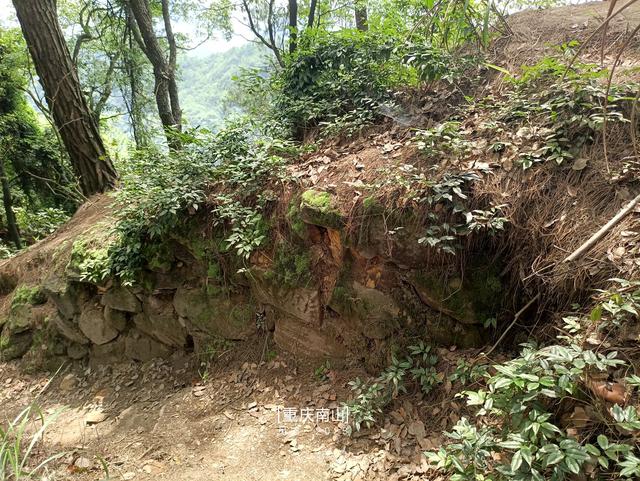 南山野趣篇|春天岭小道(月亮湖-丁家坡)