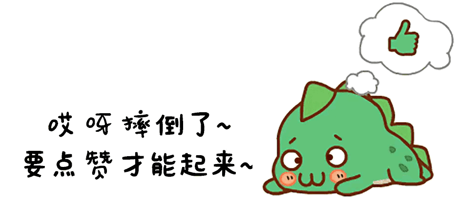 女骑手超车被弹飞坠湖身亡：事故背后的原因和警示-有驾