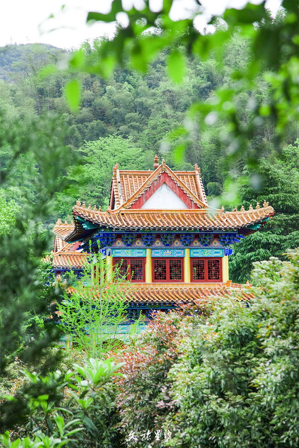 五一·来星沙|这个假期,在长沙县怎么玩?看这一篇就够