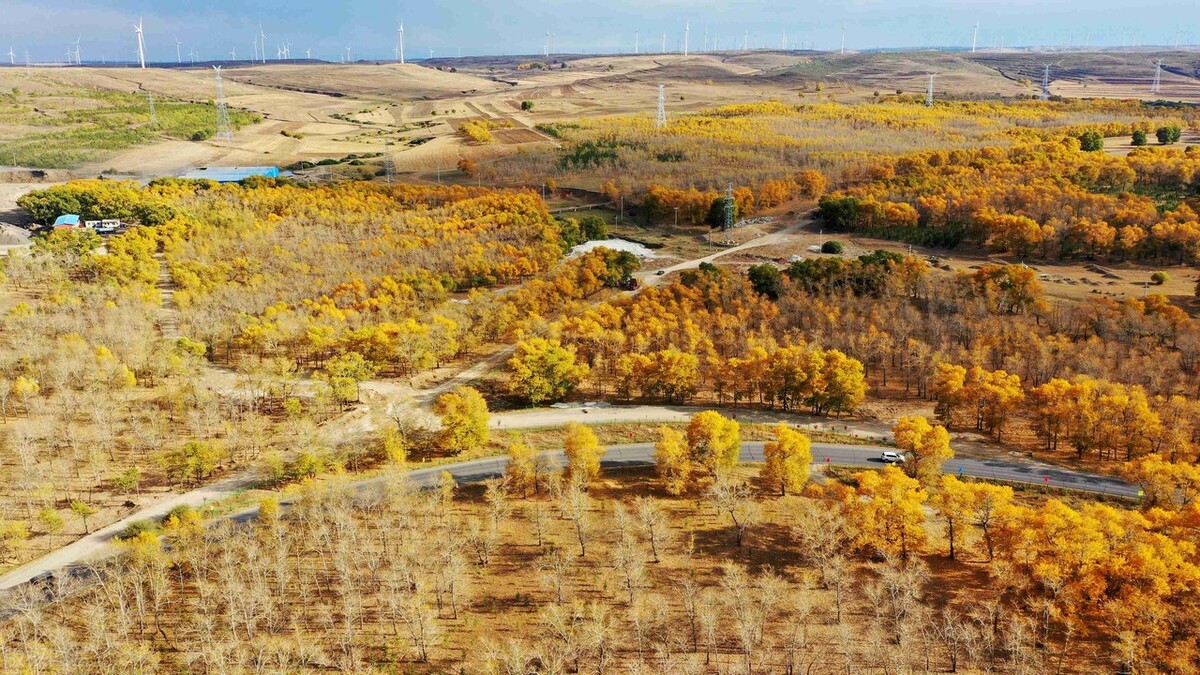 河北省张家口市,张北县草原天路迷人的秋景