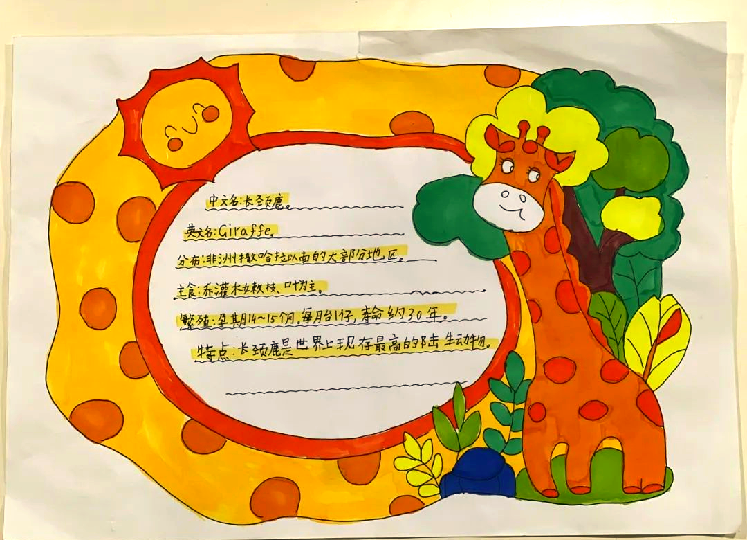 探索动物园的奇妙世界:动物名片作品展