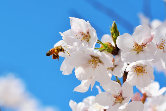 看似软萌无害,实则胸有城府的星座,一定不要被他们外表欺骗