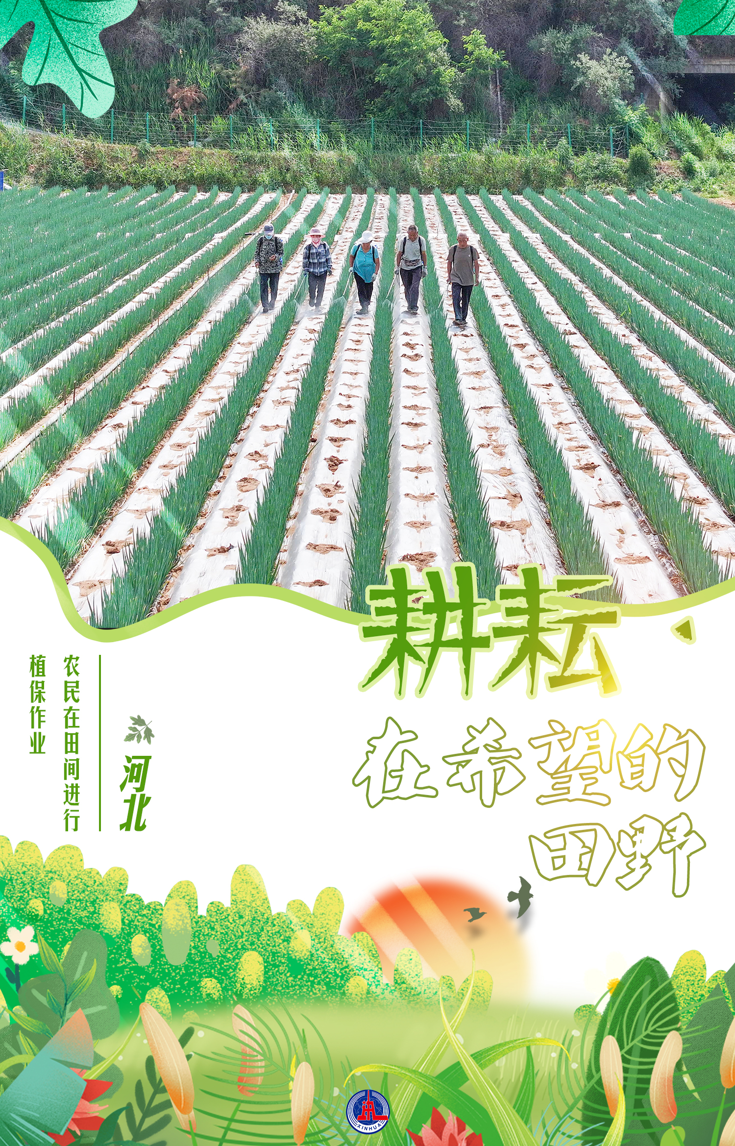 耕耘·在希望的田野