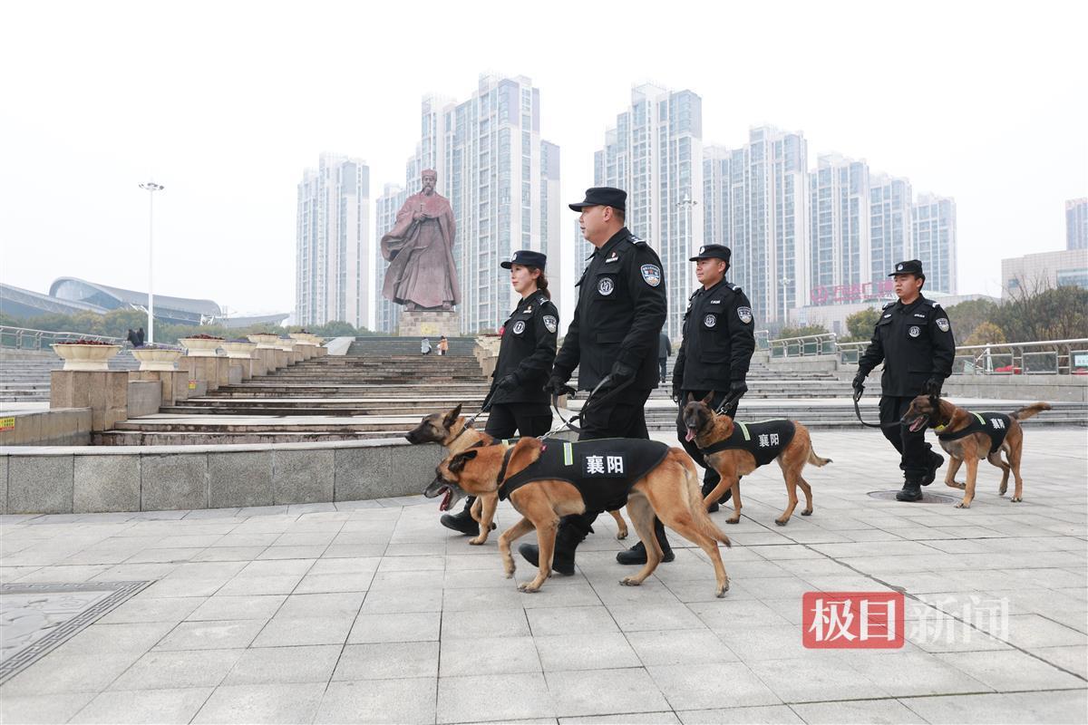 微信图片_20250130173229.jpg
