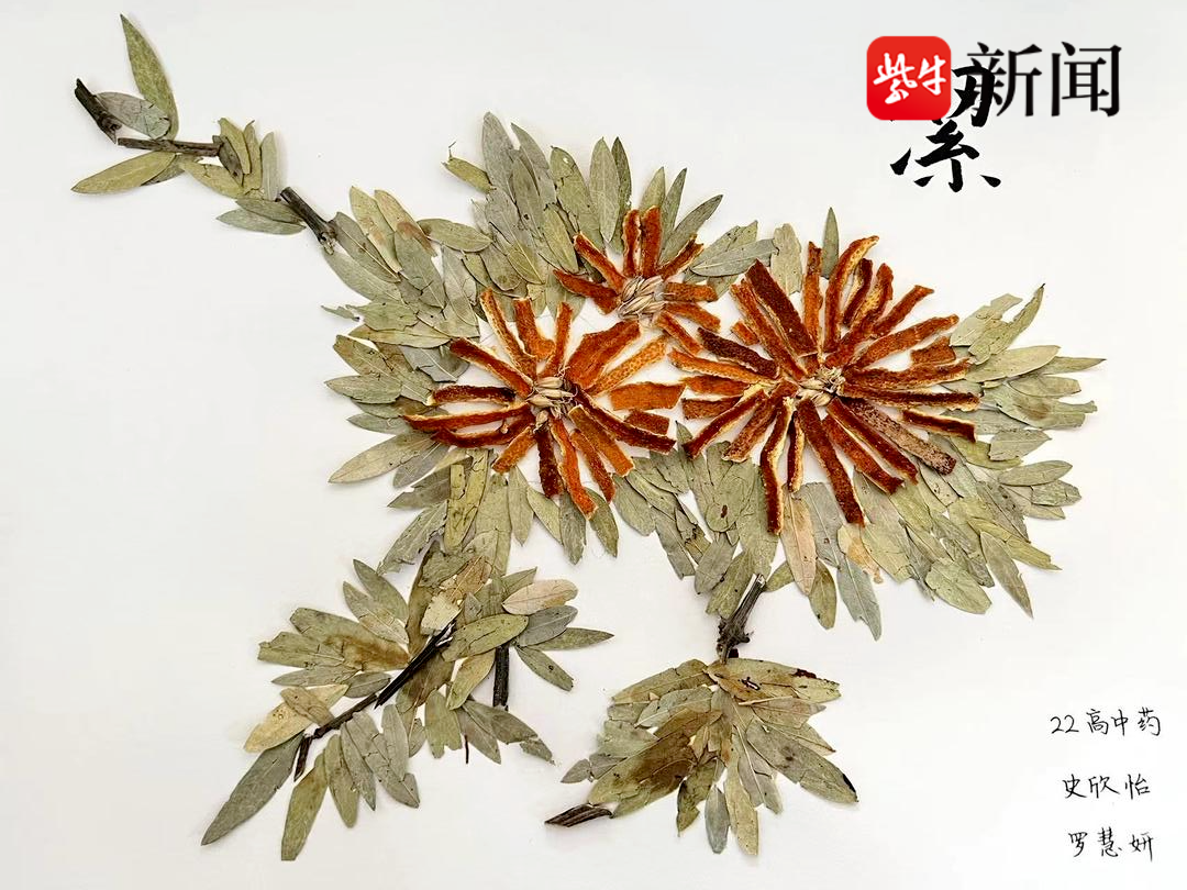 中药潮饮,野蔬画,雨花石汤圆……莫愁中专这门中药思政课程太惊艳