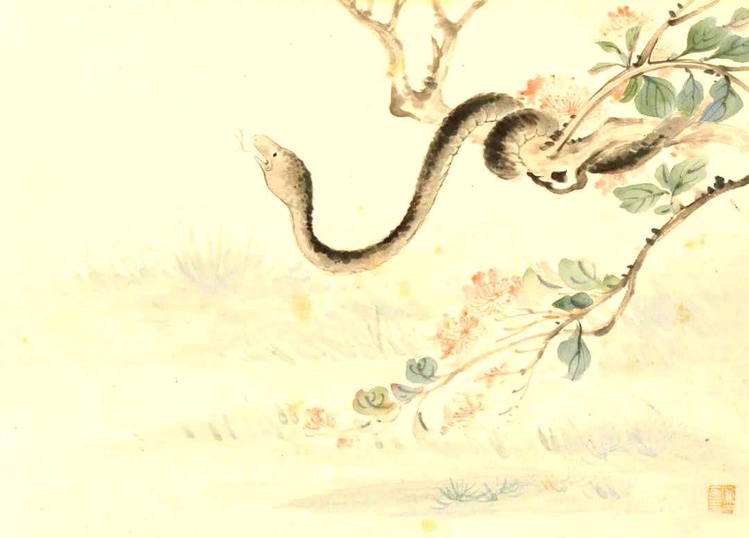 蛇为何很少主动进家?土地公:它是灵性"信使",上门必因这2事