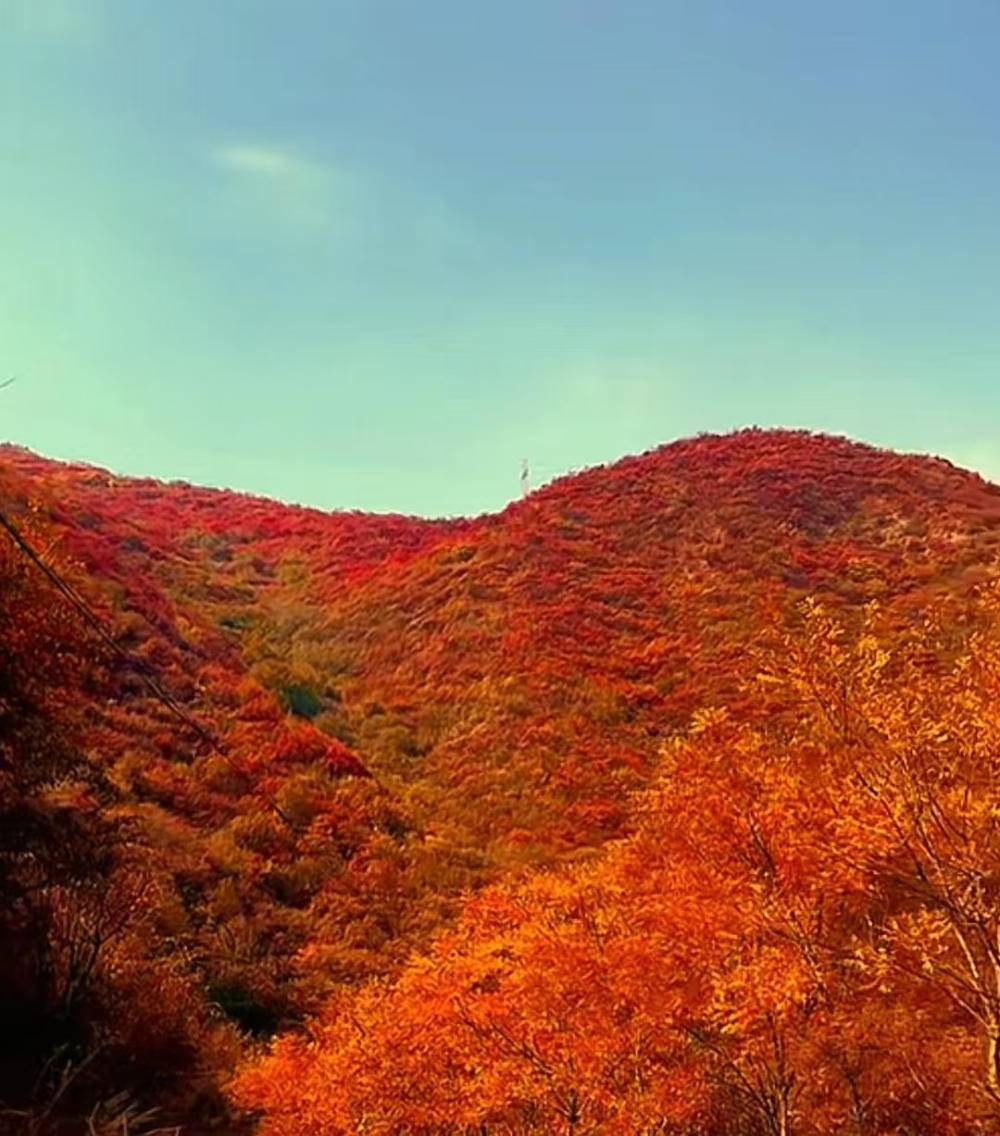 旅游天地|深秋里去绛县紫家峪西峪村赏红叶