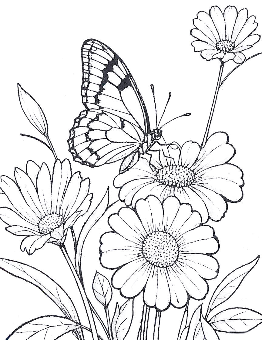 蝴蝶线描绘画技巧全解析
