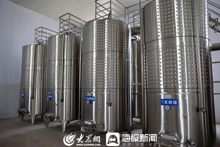 争流·新农人风采|③郑宏伟:用心培育,小葡萄串起"致富路"