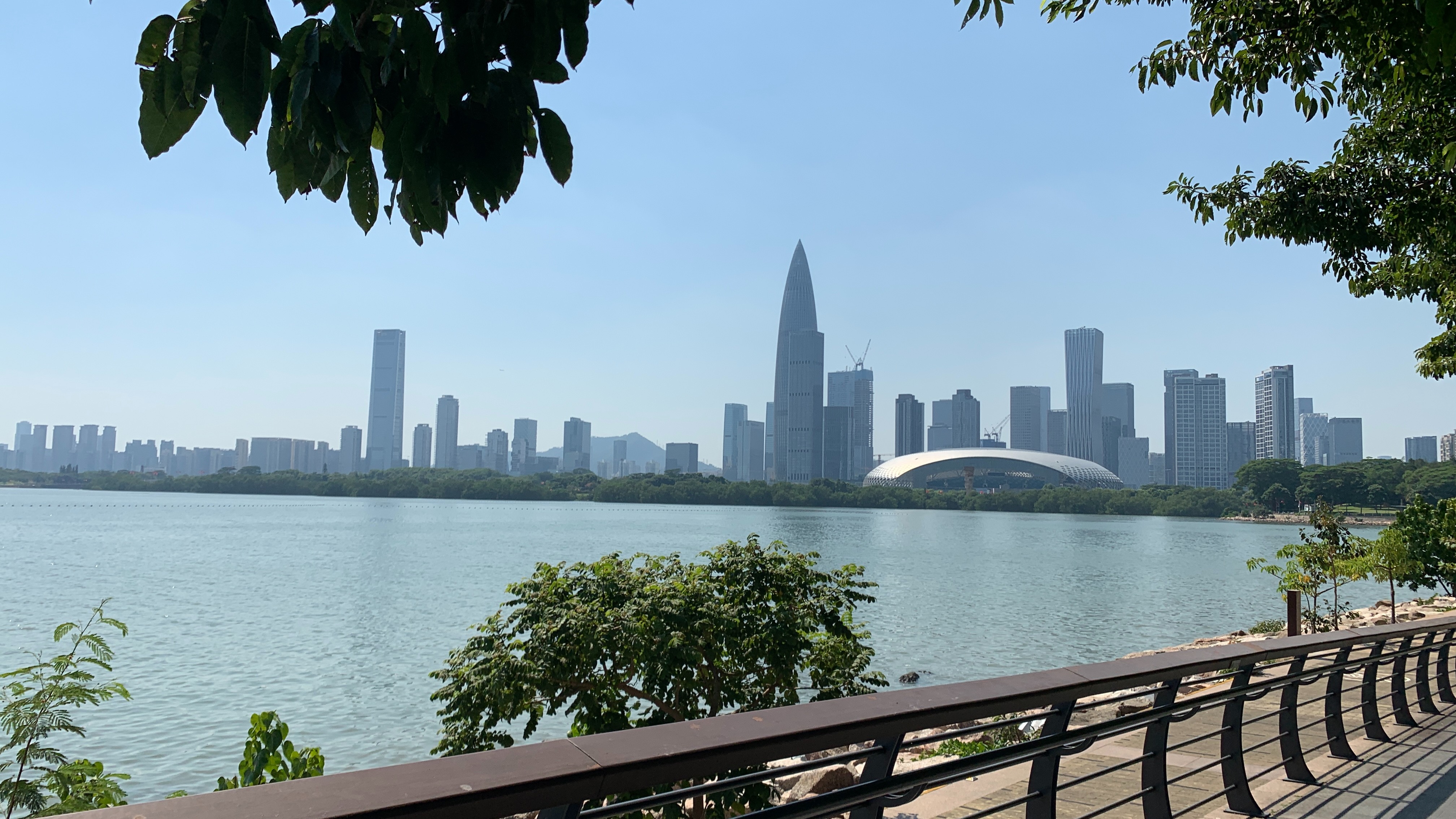 深圳湾风景图图片