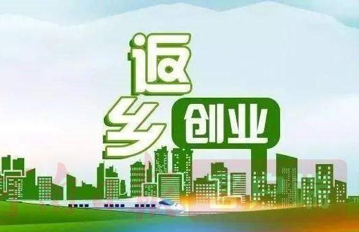 湖北多措并举推进外出务工人员返乡创业