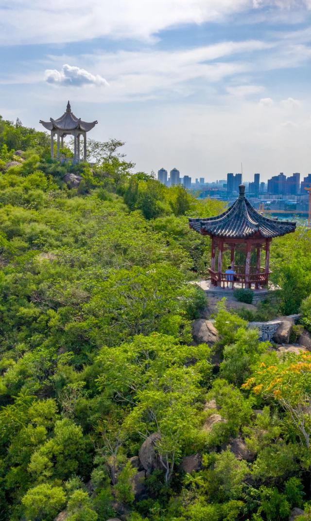 初冬，忍不住想来济南这些宝藏公园逛逛！风景美得像画一样～