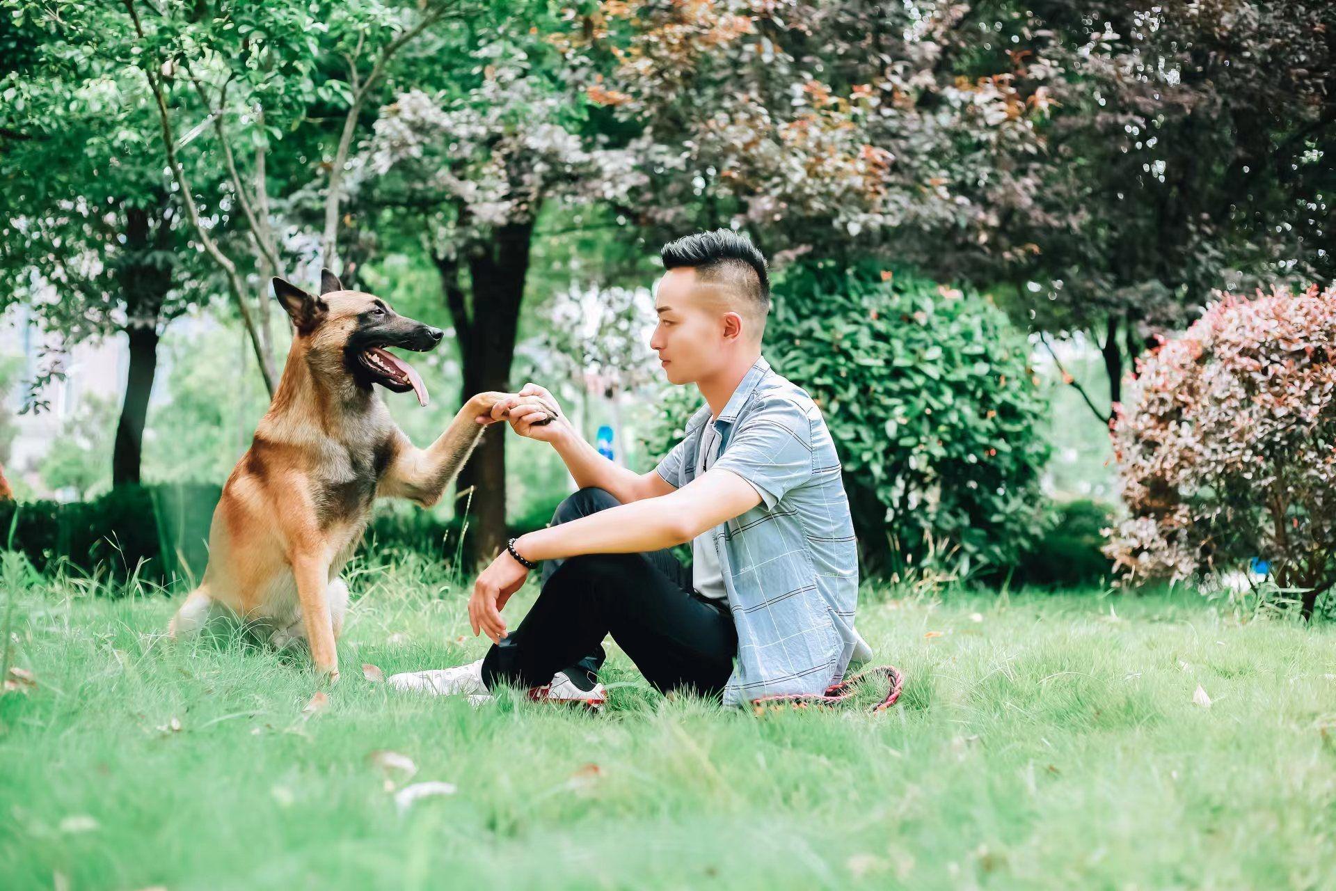 訓犬也能開公司,小夥武漢創業年產值超千萬元