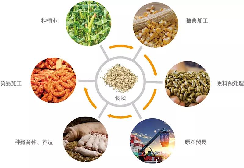 农村饲料加工创业方案(在农村开饲料加工厂前景)