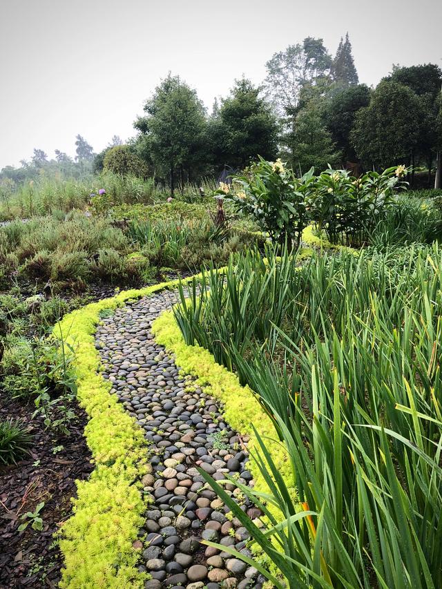 峨山大坪值得去的地方