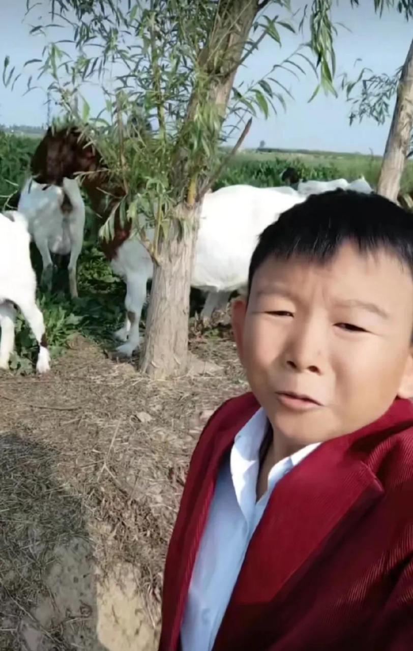 网络红人放羊娃龙哥,真实姓名是吕传龙,1979年出生,属羊,是山东省枣庄