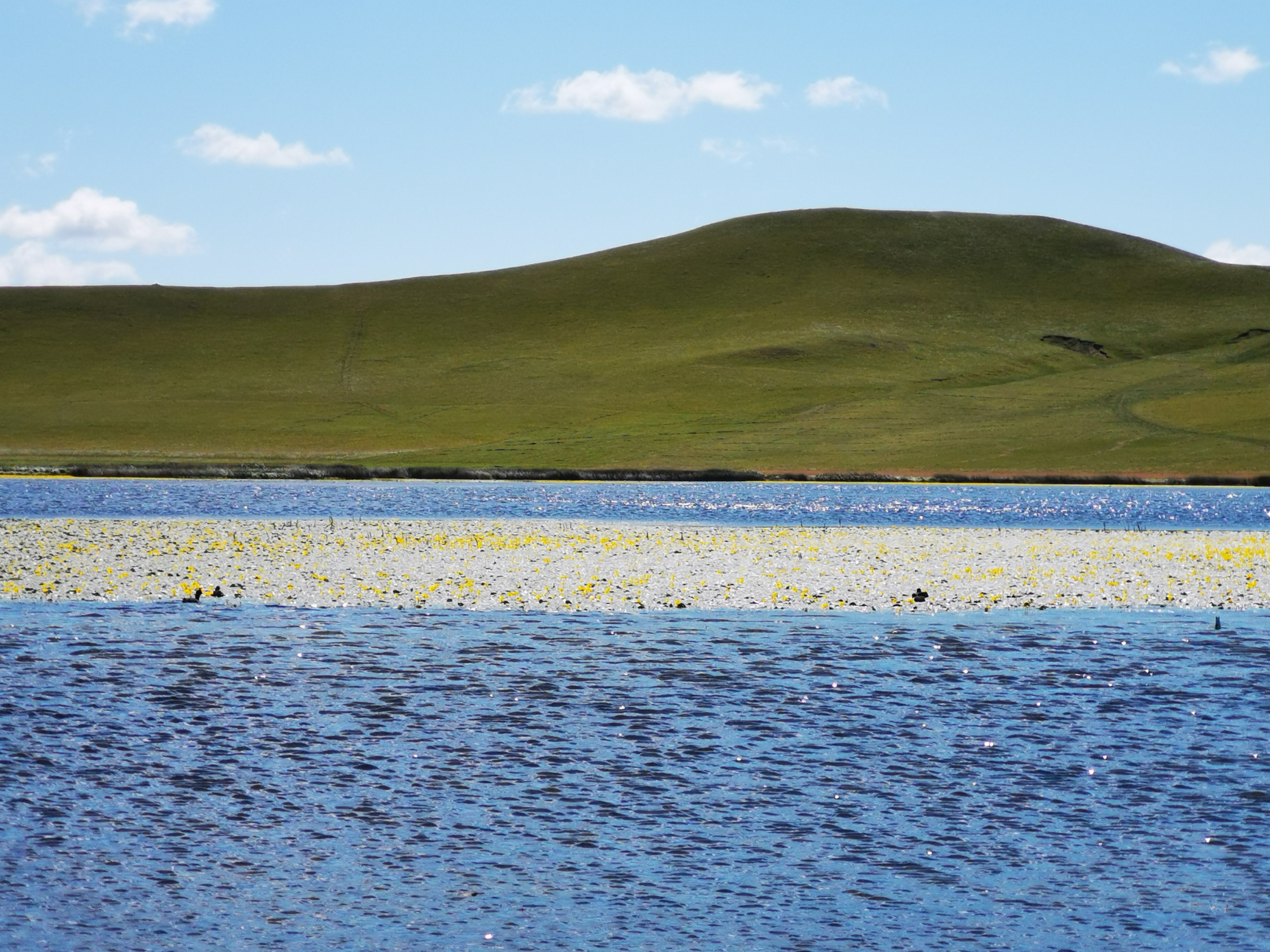 乌兰布统野鸭湖景区图片