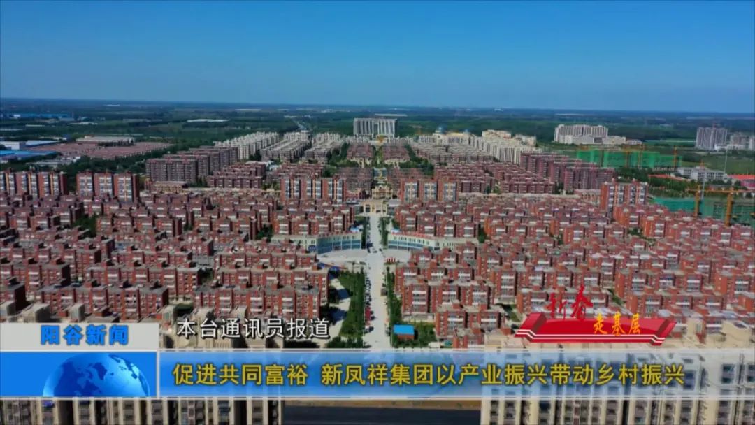 促进共同富裕新凤祥集团以产业振兴带动乡村振兴