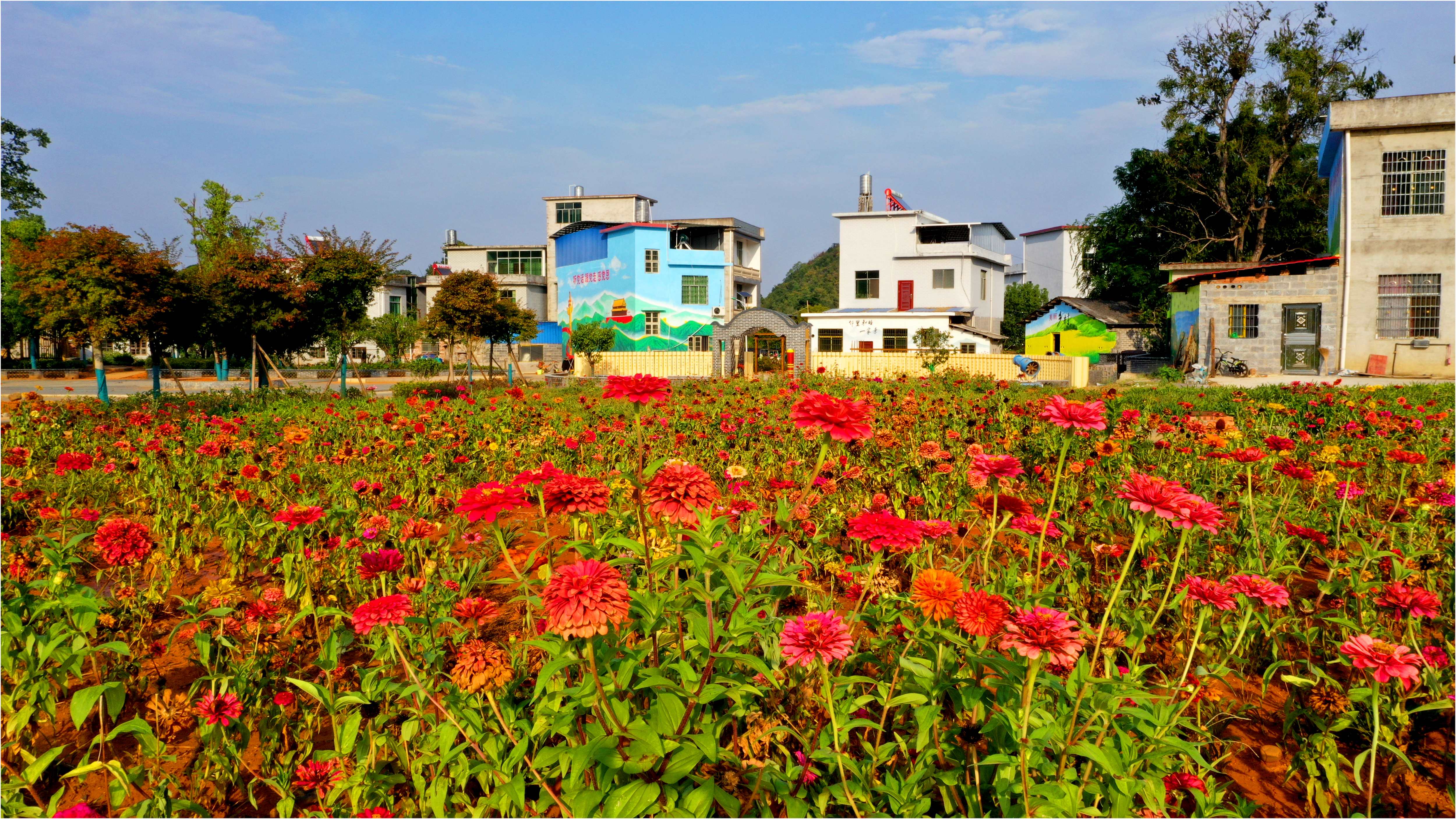 永州市回龙圩管理区:民为主监督助力乡村建设,实现和美共生高质量