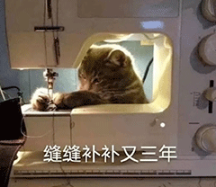 动图表情包:小趴菜专用