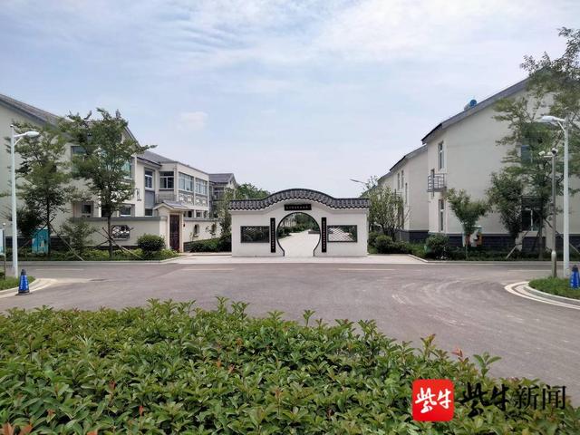 黄尖镇:文明新风吹乡野,心间绽放"幸福花"