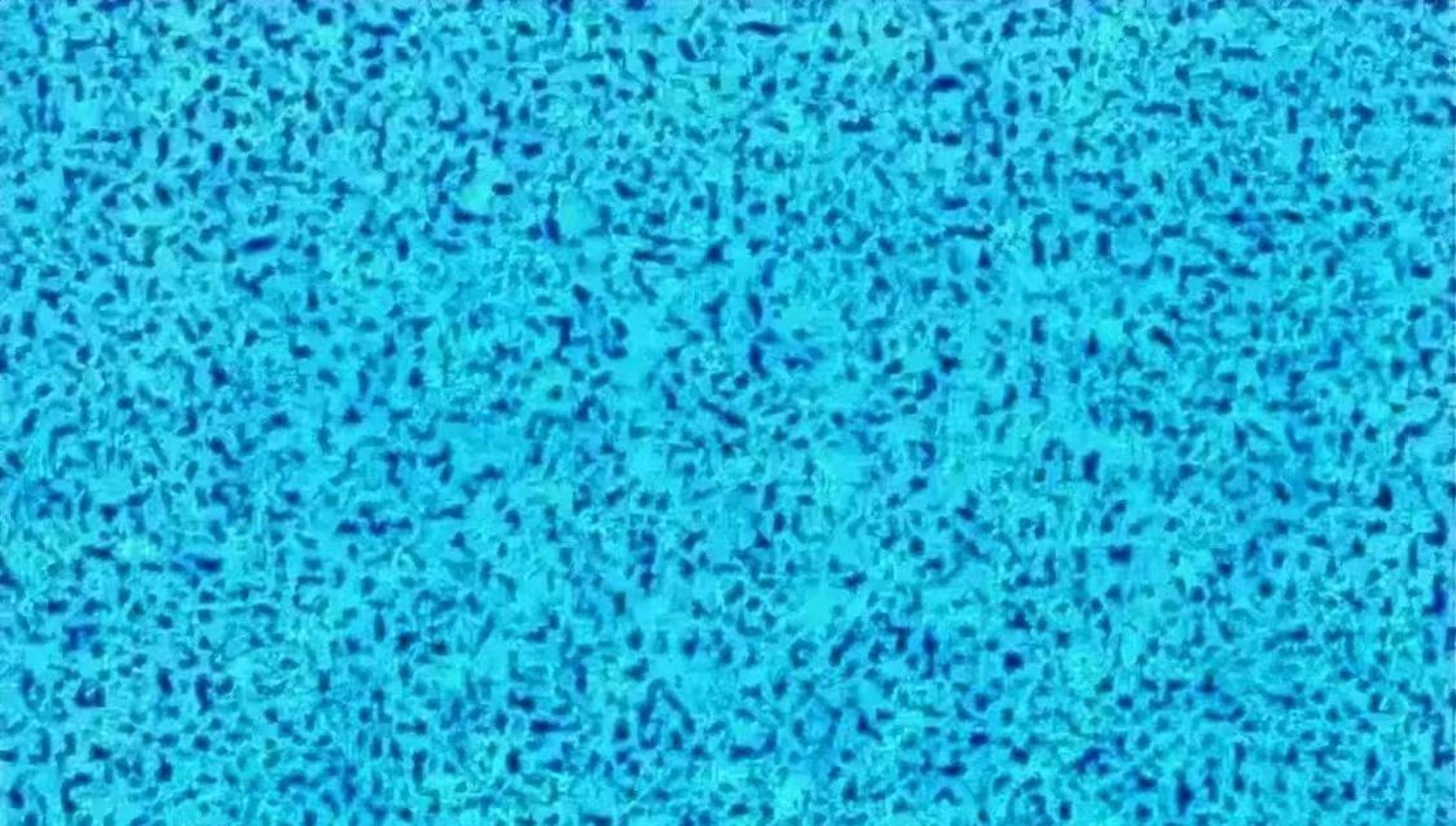 据说这是飞行员测试色盲色弱图,这个实在是太难了,我看了半天模糊看到