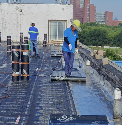 套疏散门及第一餐厅室外疏散钢梯安装,2号学生公寓楼顶1700㎡防水维修