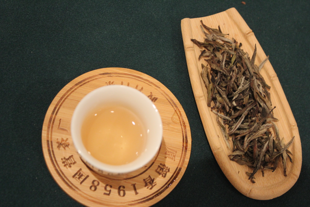 政和名茶:悠久历史的茶韵传承