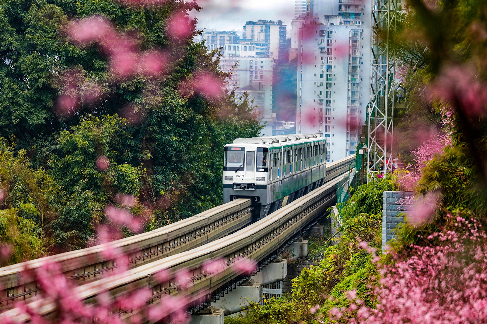 暖阳造访重庆 开往春天的列车2.0版重装上线