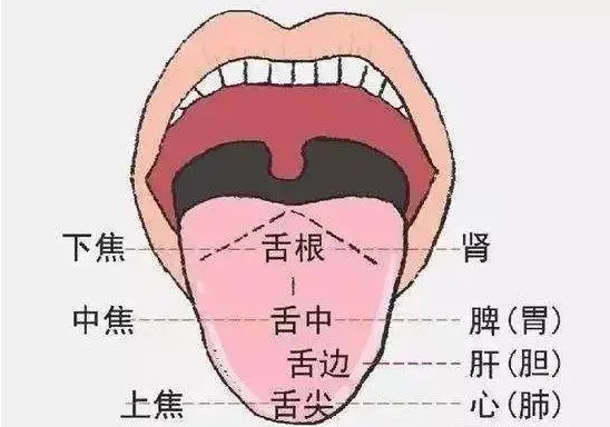 舌头发黑