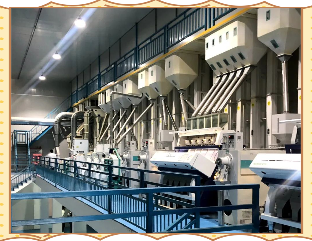 更合镇农企打造高效大米全自动生产线,日加工稻谷能力达80吨