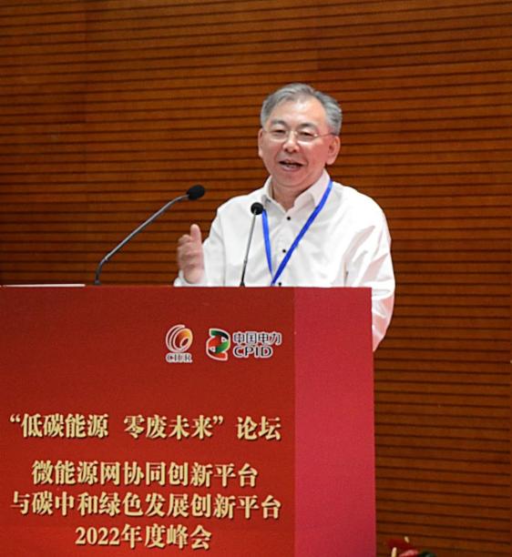 李忠榜出席微能源网协同创新平台与碳中和绿色发展创新平台2022年度