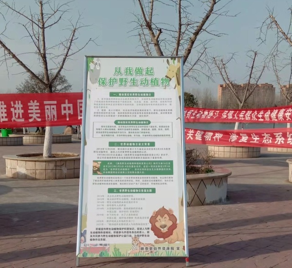 新蔡县林业发展服务中心开展保护野生动植物主题宣传活动