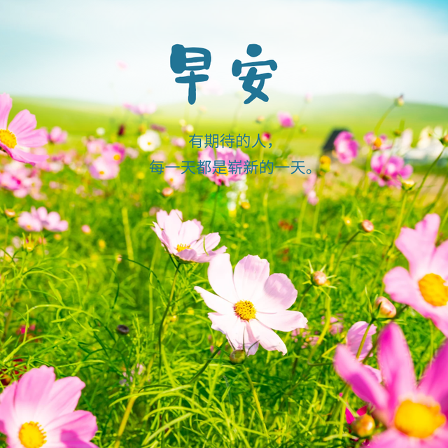 励志早安问候短句图片带字(励志早安问候短句图片带字最新)