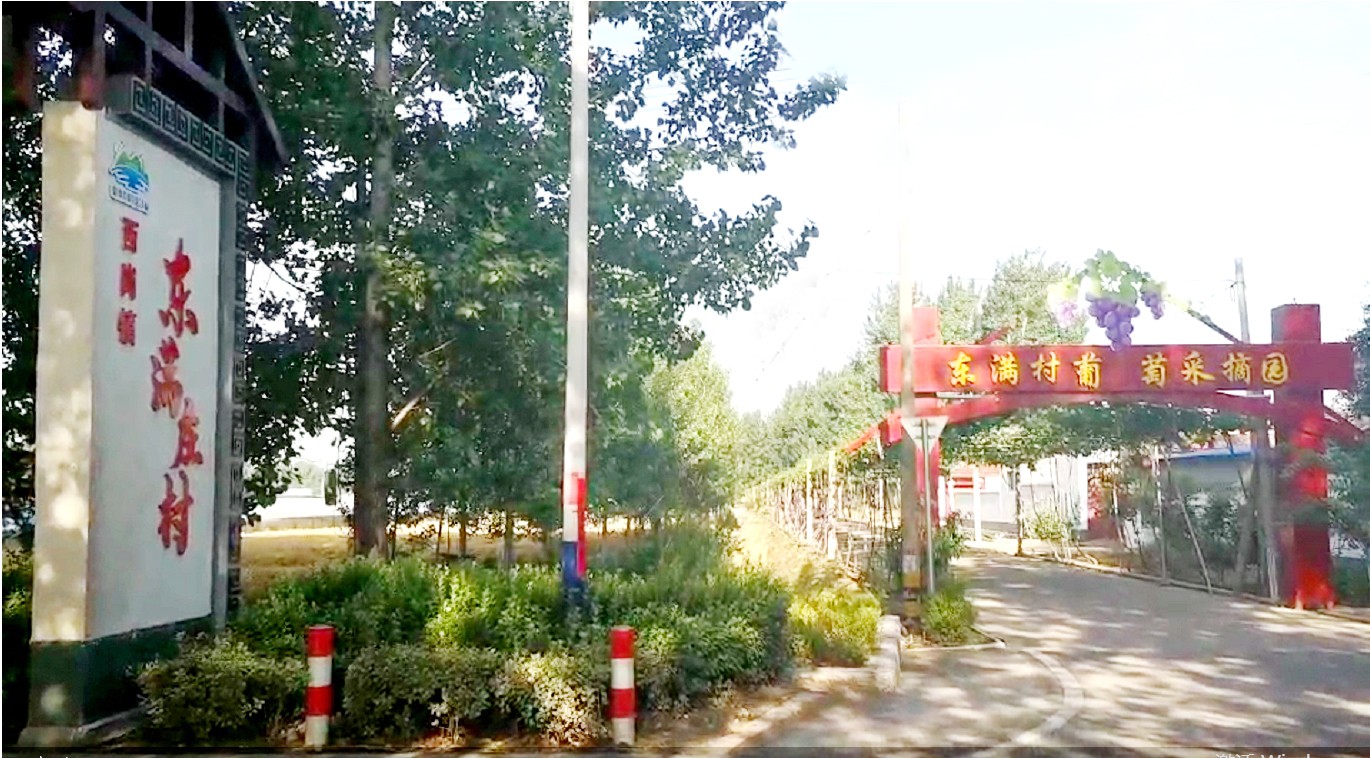 学史增信奋楫开新局!滕州市西岗镇加快推进乡村振兴示范镇建设