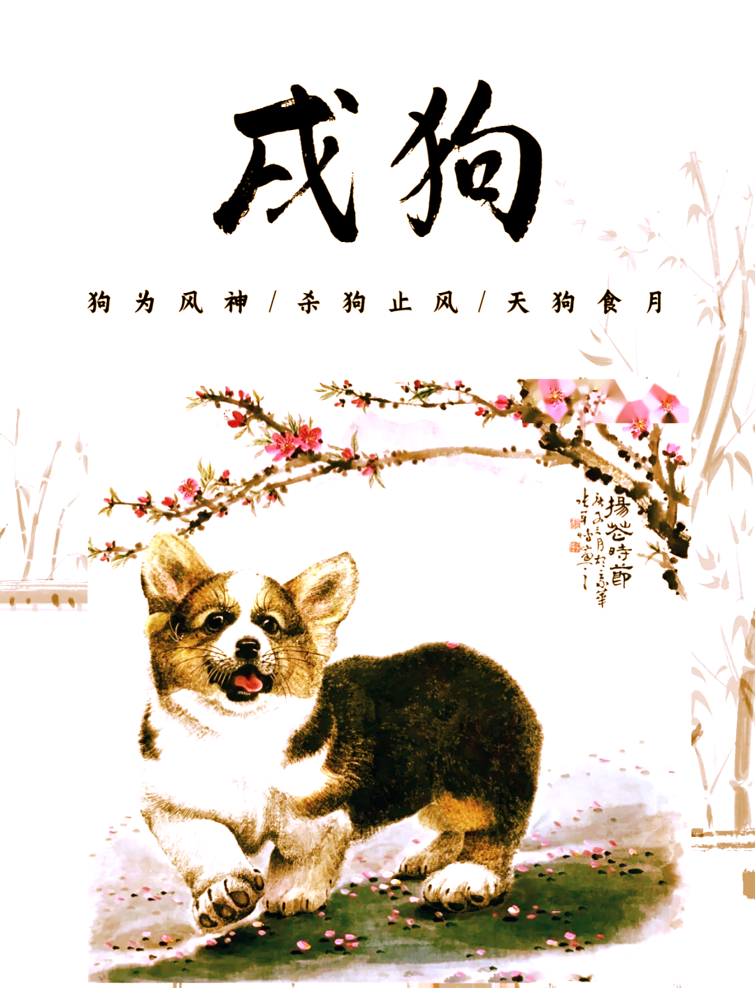 帝师讲2025狗生肖运势(2025年12生肖运势)