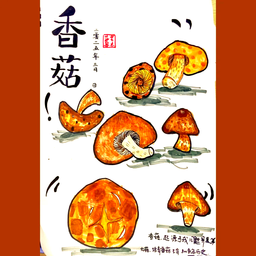 探索香菇的艺术魅力与创作技法