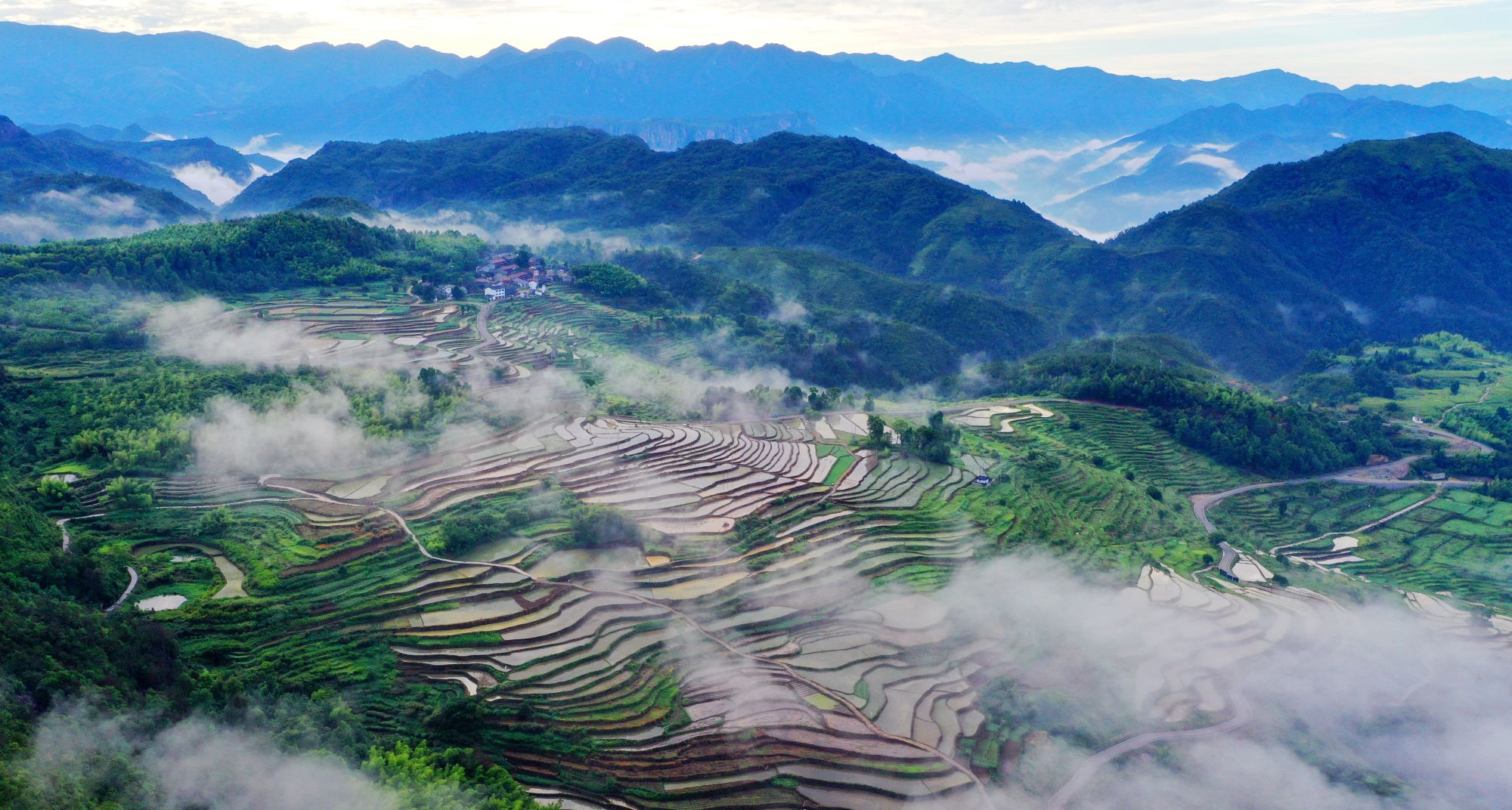浙江台州:杨丰山云雾缭绕 千亩梯田景美如画