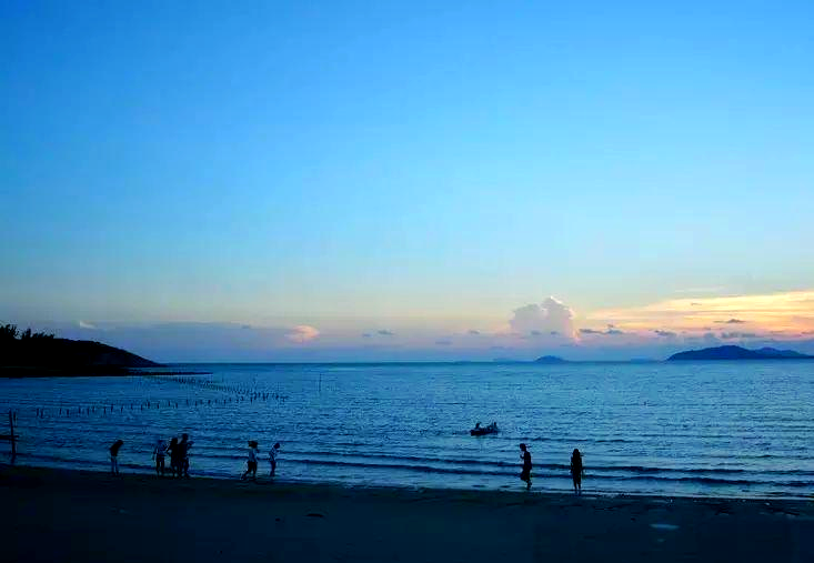 大树岛:阳西万山群岛中的自然瑰宝