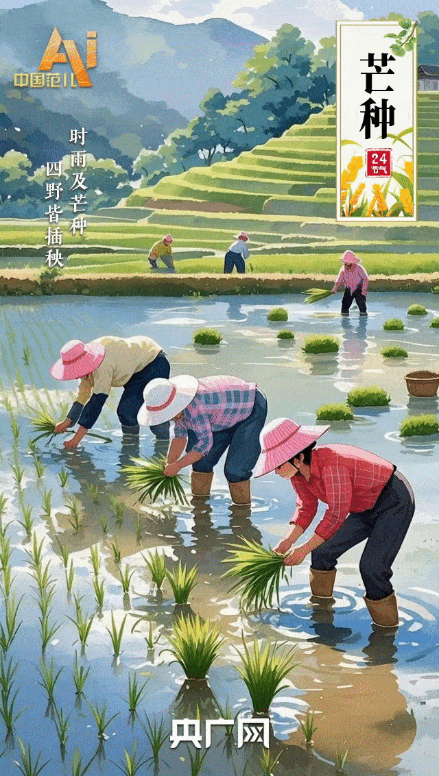 節氣里的中國智慧｜“芒”有所獲，“種”有所得-有駕
