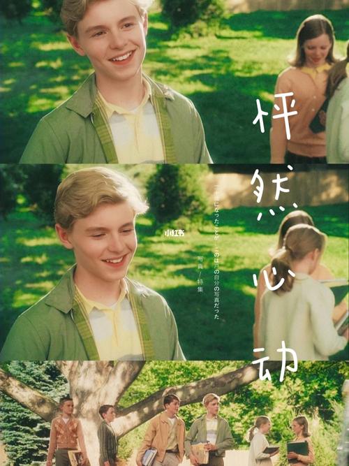 爱情电影《怦然心动》解说文案