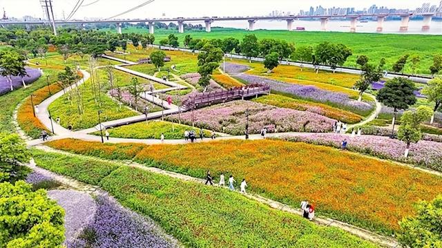 武汉市绿植批发基地在哪里