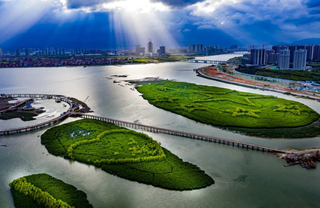 厦门市决定将海堤开口800米,东,西海域通畅了"经脉",建立了海洋生态廊