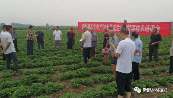 新野县王集镇:"精神食粮"送地头 乡村振兴添动力