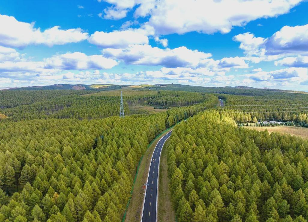 《最美的青春》:探讨塞罕坝绿色奇迹的青春剧佳作