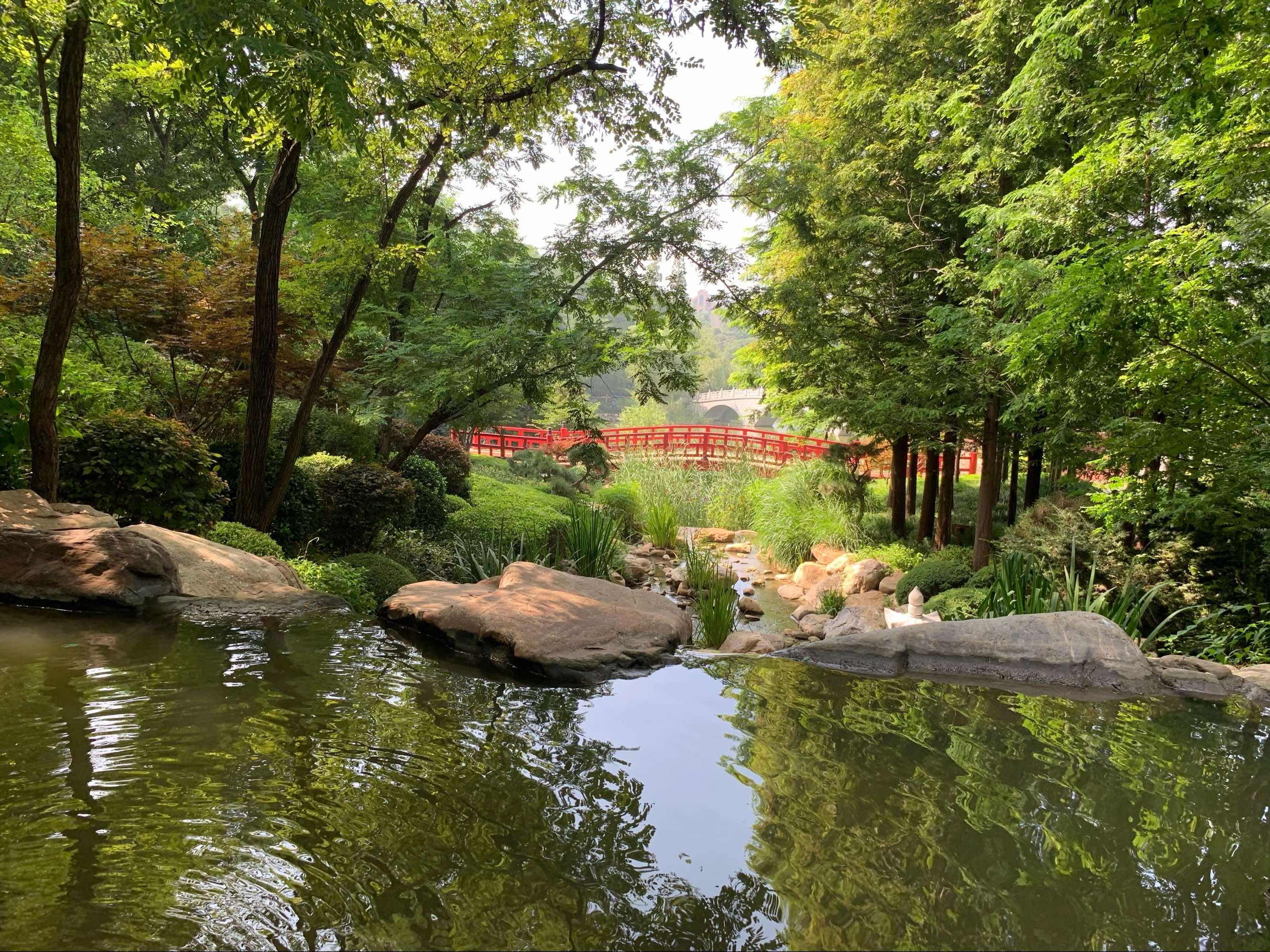 大連植物園要門票嗎