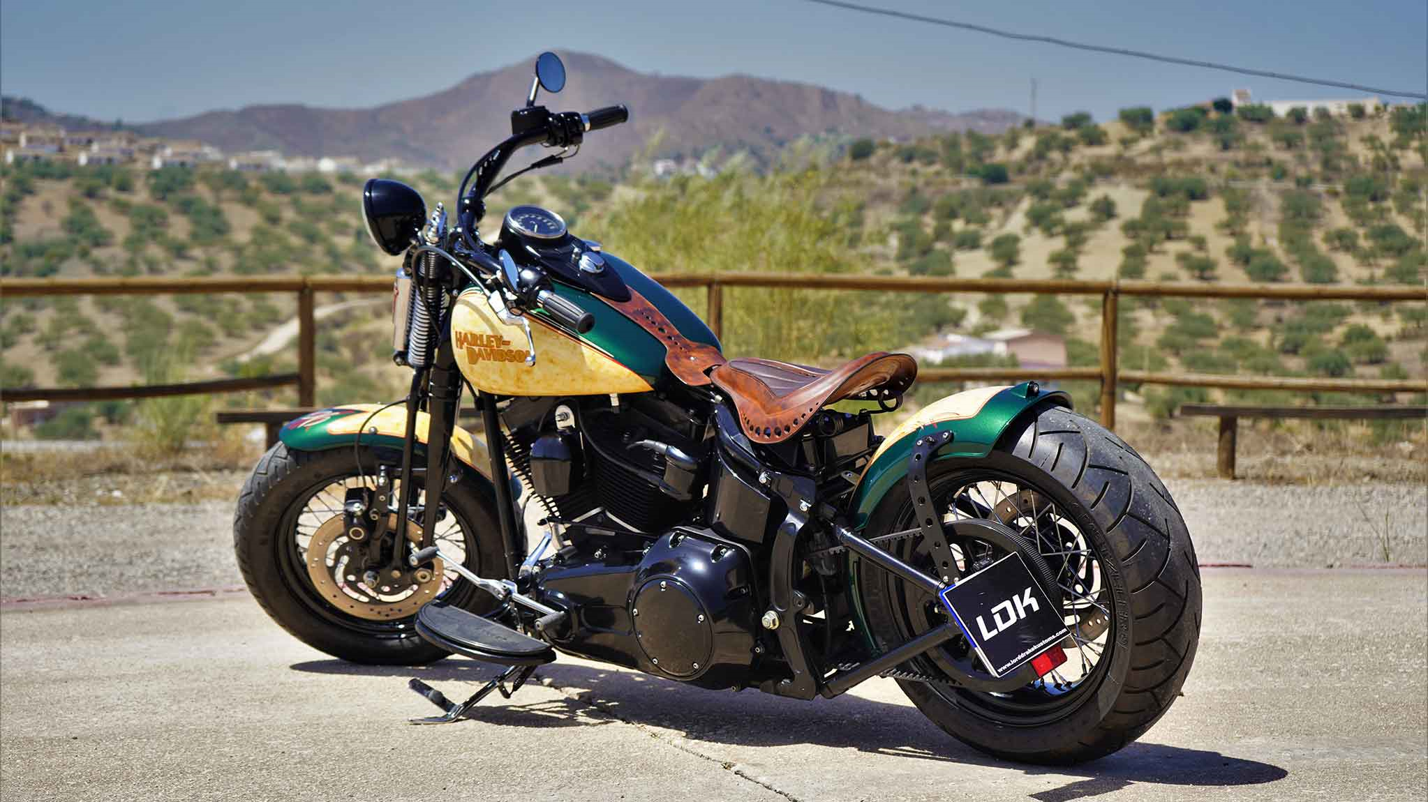 复古bobber 哈雷大弹簧改装欣赏