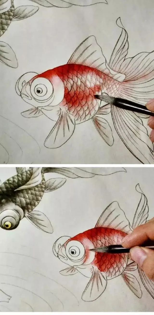 超详细的步骤教你画工笔金鱼