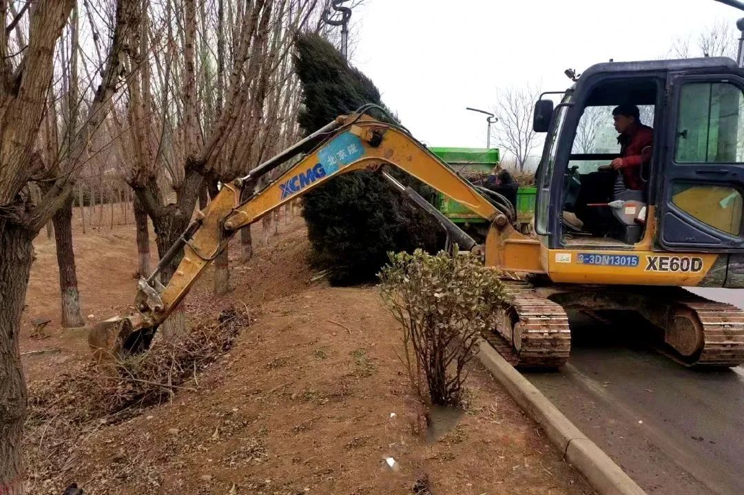 邯郸交通：春季绿化养护忙，提升环境保畅通